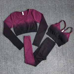 Breathable Sweat Absorbing Long Sleeve T-Shirt Training Fitness Capris Yoga Bra