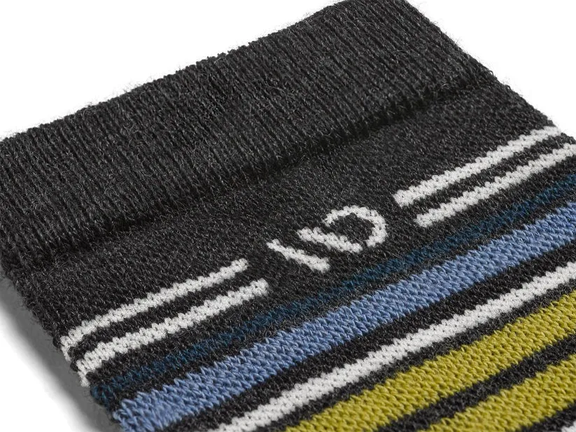 Multi Stripe Cushioned Micro Crew Socks