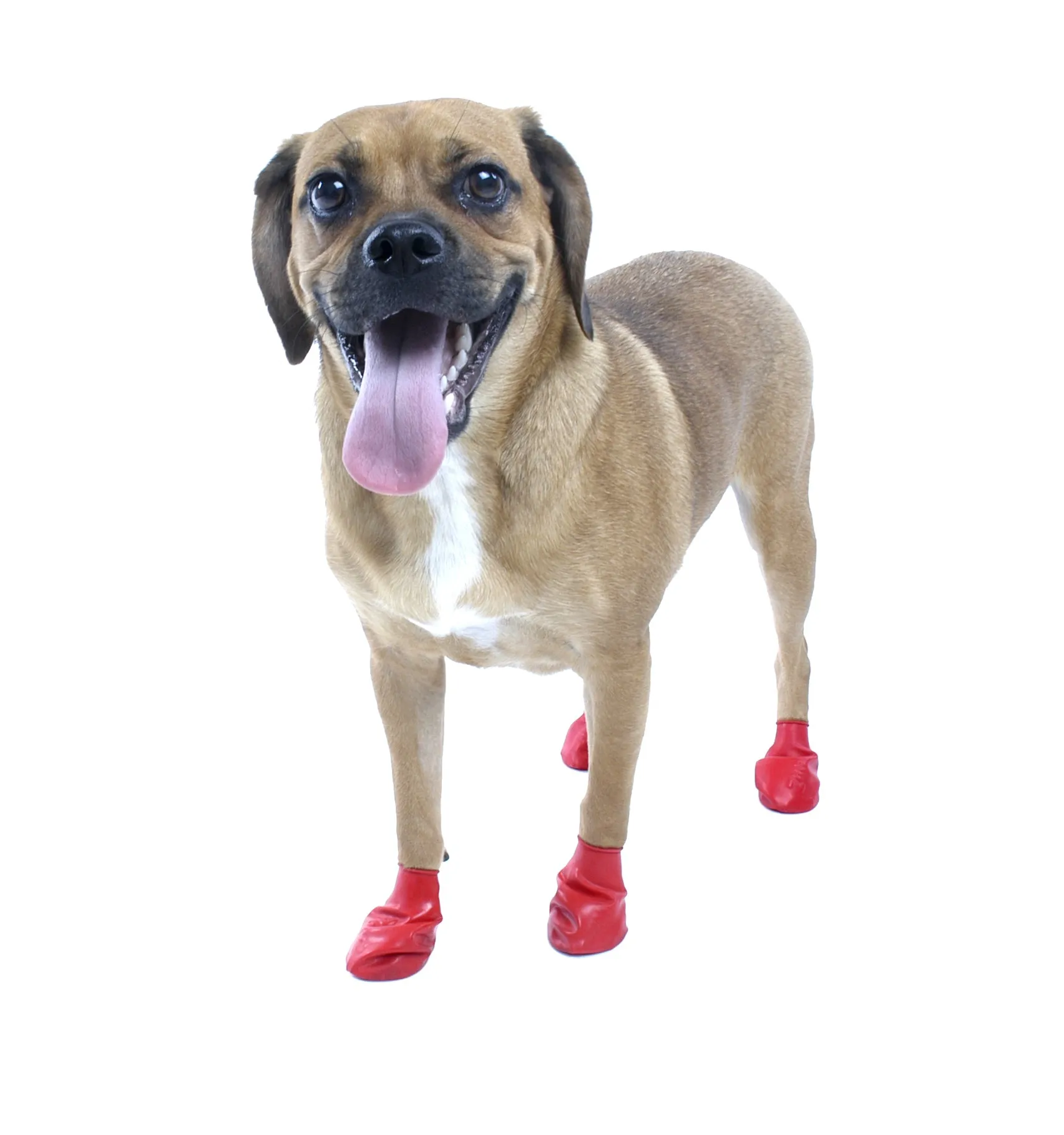 Pawz Disposable Dog Boots