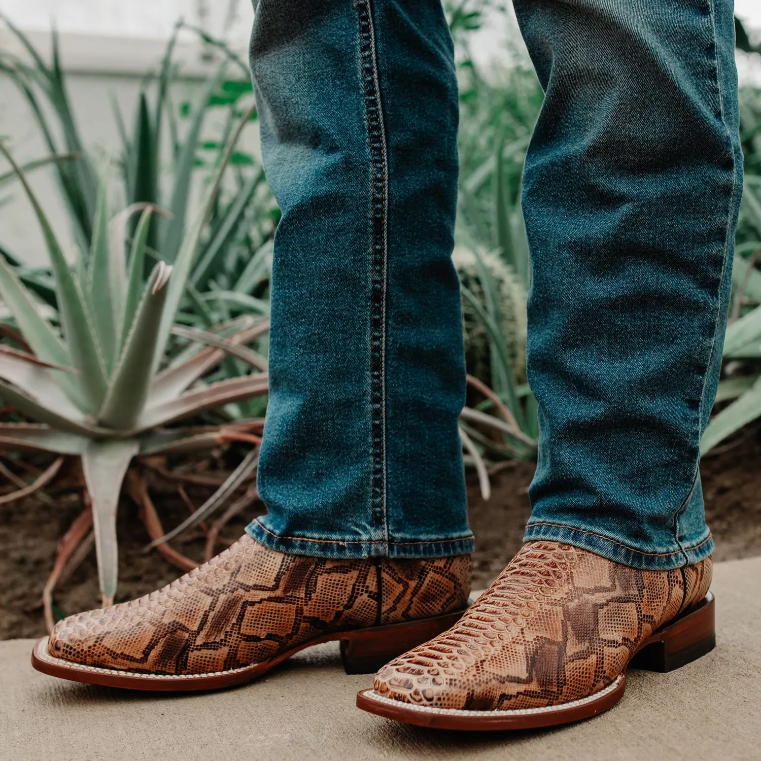 Soto Boots Men's Brown Python Print Square Toe Cowboy Boots H8004