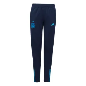 Youth adidas Argentina Training Pant 2022